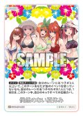 偶然のない夏休み[GYC_GYC-BP4-081_GR]