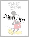 ブシロード スリーブコレクション ハイグレード Vol.3677 Disney『ミッキーマウス』(1個)[新品商品]