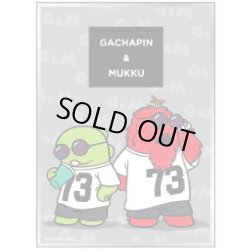 画像1: 【予約商品・全額前金制】【6/26(金)発売】ガチャピン・ムック サングラス(EN-1642） ガチャピン・ムック キャラクタースリーブ(1個)[新品商品]