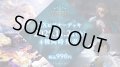 【予約商品・全額前金制】【11/21(金)発売】Shadowverse EVOLVE EXビギナーデッキ「ビショップ」(1個)(シャドウバース エボルヴ)[新品商品]