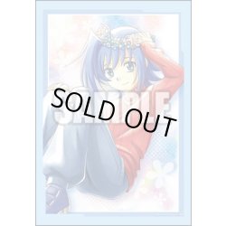 画像1: 『アイチ』ブシロードスリーブコレクション ミニ　Vol.621 カードファイト!! ヴァンガード(1個)[新品商品]