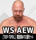 【予約商品・全額前金制】【1/15(金)発売】※商品説明必読※ヴァイスシュヴァルツ AEW：Forbidden Door【TDSP・TDPなし】開封済みTD2個セット[WS_FD]