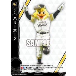 画像1: ハリーホーク[PDO_TIME-H04_UC]【BP01収録】