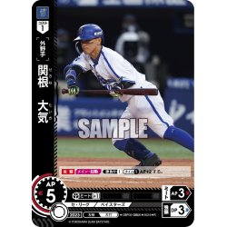 画像1: 関根　大気[PDO_CBP02-DB06_R]
