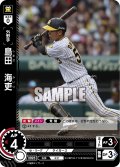 ★パラレル★島田　海吏[PDO_CBP02-T12_CH]