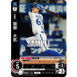 画像1: ★パラレル★関根　大気[PDO_CBP04-DB06_RH]