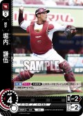堀内　謙伍[PDO_PBP02-E09_C]