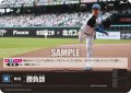 勝負師(北海道日本ハムファイターズ)[PDO-01_C]【PBP02収録】