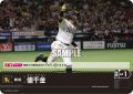 値千金(福岡ソフトバンクホークス)[PDO-06_C]【PBP02収録】