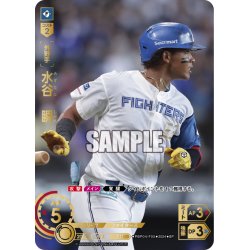 画像1: ★スペシャルパラレル★水谷　瞬[PDO_PBP04-F05_SP]