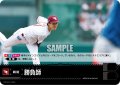 勝負師(東北楽天ゴールデンイーグルス)[PDO-01_C]【TBP01-E収録】