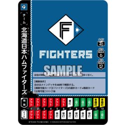 画像1: 北海道日本ハムファイターズ[PDO_TEAM-F02_C]【TBP01-F収録】