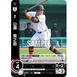 画像1: 山瀬　慎之助[PDO_TBP01-G41_C]