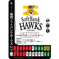 画像1: 福岡ソフトバンクホークス[PDO_TEAM-H02_C]【TBP01-H収録】