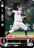 山野辺　翔[PDO_TBP01-L36_C]
