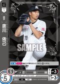 ★パラレル★唐川　侑己[PDO_TBP01-M21_OR]