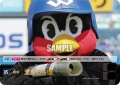 ★パラレル★渾身の一球(東京ヤクルトスワローズ)[PDO-08_OR]【TBP01-S収録】