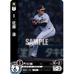 画像1: 佐藤　蓮[PDO_TBP01-T32_C]