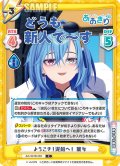ようこそ！泥船へ！ 麗女[Re_AG/001B-080C]