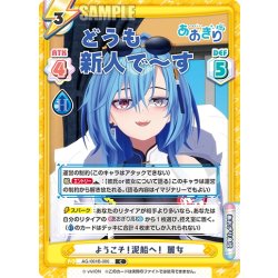 画像1: ようこそ！泥船へ！ 麗女[Re_AG/001B-080C]