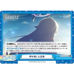 画像1: 【Re+仕様】夢が残した足跡(Part5)[Re_BA/004B-092dS]