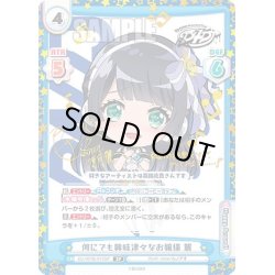 画像1: 【SP仕様(RR)】何にでも興味津々なお嬢様 麗[Re_DJ/001B-013SP]