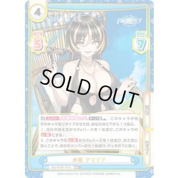 画像1: 【RRR+仕様】水着 アマデア[Re_DW/001B-101S]