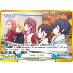 画像1: 【GRe+仕様】さあ舞い上がれ[Re_IMS/002B-141S]