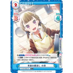画像1: 青嵐の鯉流し 小鈴[Re_LLHS/002B-074R]