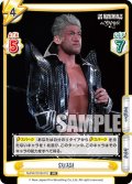 SANADA[Re_NJPW/001B-072RR]