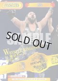 【BP仕様】EVIL[Re_NJPW/002B-P012BP]