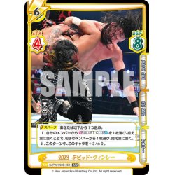 画像1: 2023 デビッド・フィンレー[Re_NJPW/003B-052RRR]