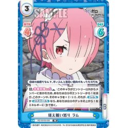 画像1: 堪え難い怒り ラム[Re_RZ/001B-038RR]