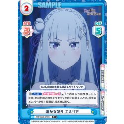 画像1: 【R+仕様】確かな怒り エミリア[Re_RZ/002B-010S]