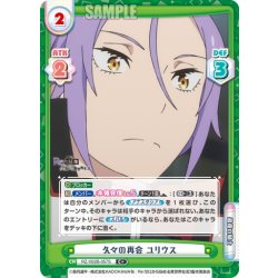 画像1: 【C+仕様】久々の再会 ユリウス[Re_RZ/002B-057S]