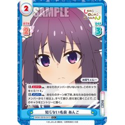 画像1: 【C+仕様】知らない名前 あんこ[Re_SKNK/001B-041S]