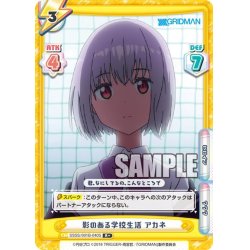 画像1: 【R+仕様】影のある学校生活 アカネ[Re_SSSS/001B-040S]