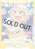 【C+仕様】世界に輝く！女子プロレス ジュリア[Re_STD/001B-055S]