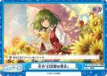 花符「幻想郷の開花」[Re_TH/001B-097ReC]