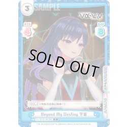 画像1: Beyond My Destiny 宇宙[Re_Vα/001B-060C]