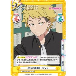 画像1: 【R+仕様】疑いの眼差し カンシ[Re_WW/001B-045S]