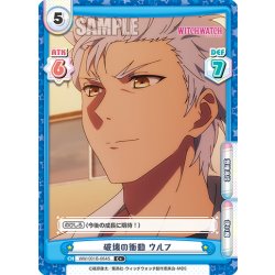 画像1: 【C+仕様】破壊の衝動 ウルフ[Re_WW/001B-064S]