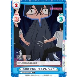 画像1: 【C+仕様】西部劇で転がってるアレ ケイゴ[Re_WW/002B-058S]
