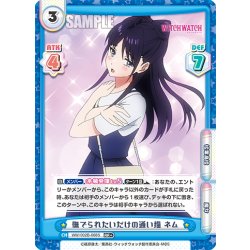 画像1: 【RR+仕様】撫でられたいだけの通い猫 ネム[Re_WW/002B-068S]