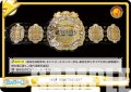 【TD+仕様】IWGP HEAVYWEIGHT[Re_NJPW/001TV-016S]