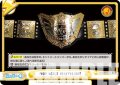 IWGP WORLD HEAVYWEIGHT[Re_NJPW/001TV-032TD]
