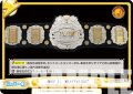 IWGP Jr. HEAVYWEIGHT[Re_NJPW/001TV-047TD]