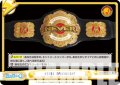 NEVER OPENWEIGHT[Re_NJPW/001TV-062TD]