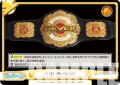 【TD+仕様】NEVER OPENWEIGHT[Re_NJPW/001TV-062S]