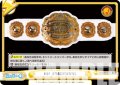 IWGP INTERCONTINENTAL[Re_NJPW/001TV-077TD]